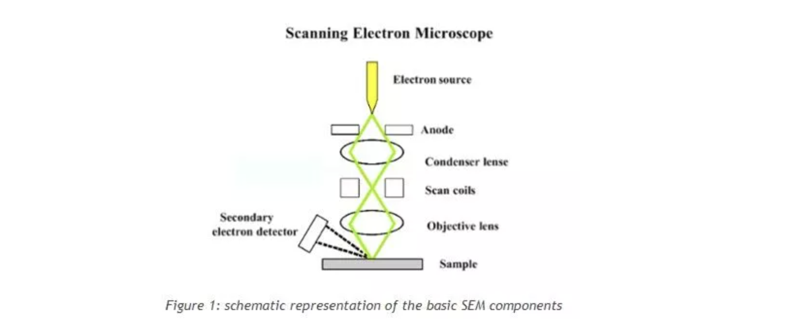 Hình 1. Biểu diễn sơ đồ của kính hiển vi điện tử quét (SEM)